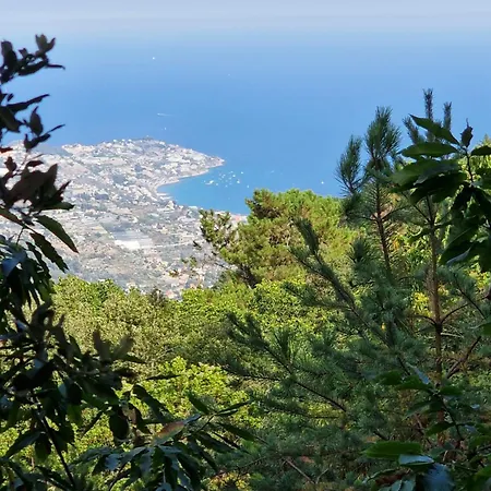 Centralissimo, Nel Cuore Della Citta * Sanremo